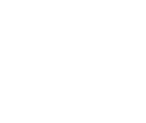 logo-parsoon-about-final